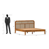 Pulse Mango wood Bed Without Box Storage in Maharani color Colour