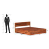 Lofted Sheesham Wood Hydraulic Bed with Box Storage in Maharani Color