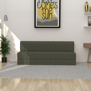 ComfortCraft Foam Sofa Cum Bed