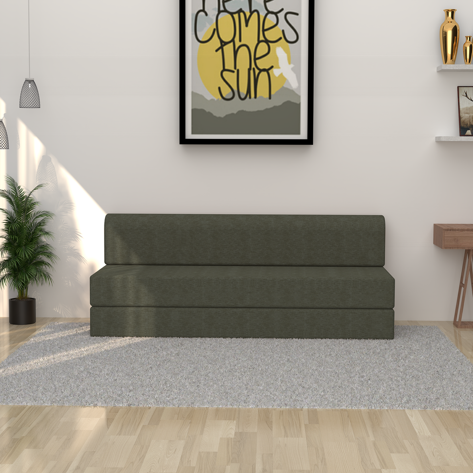 ComfortCraft Foam Sofa Cum Bed