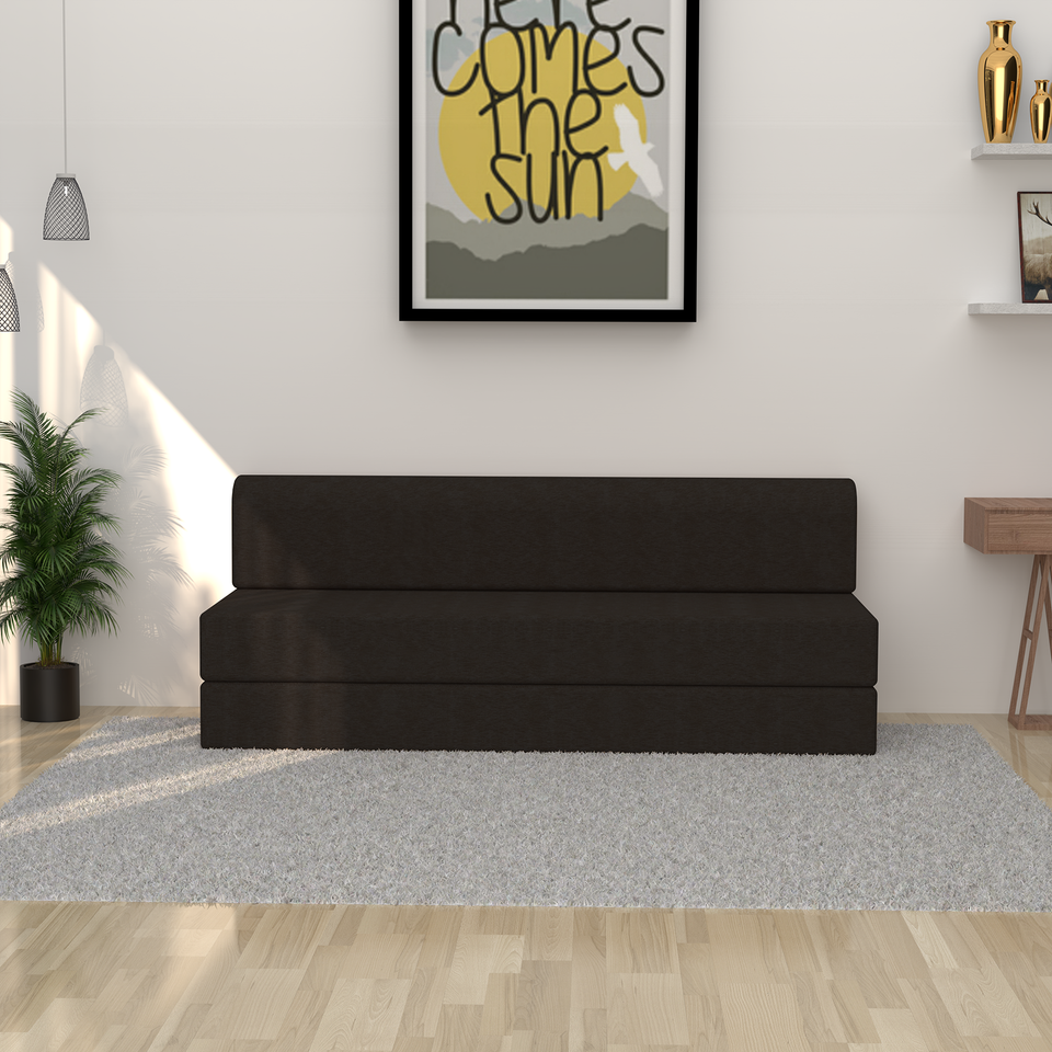 ComfortCraft Foam Sofa Cum Bed