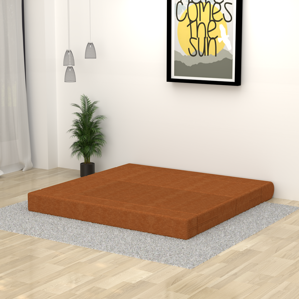 ComfortCraft Foam Sofa Cum Bed