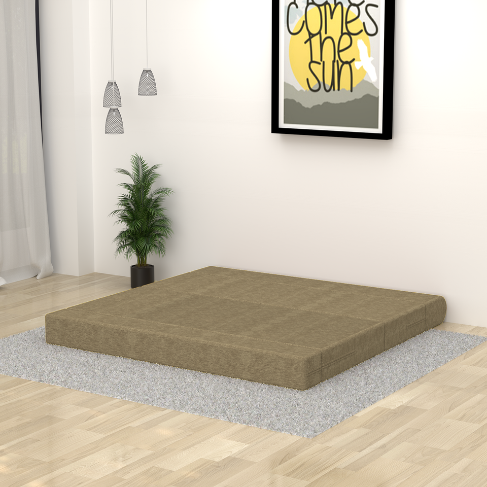 ComfortCraft Foam Sofa Cum Bed