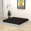 ComfortCraft Foam Sofa Cum Bed