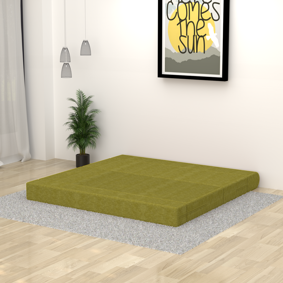 ComfortCraft Foam Sofa Cum Bed