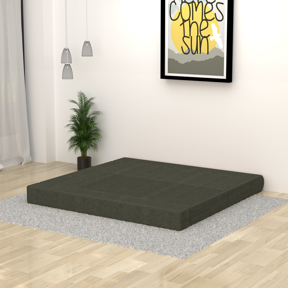 ComfortCraft Foam Sofa Cum Bed