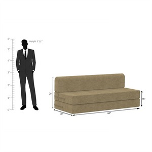ComfortCraft Foam Sofa Cum Bed